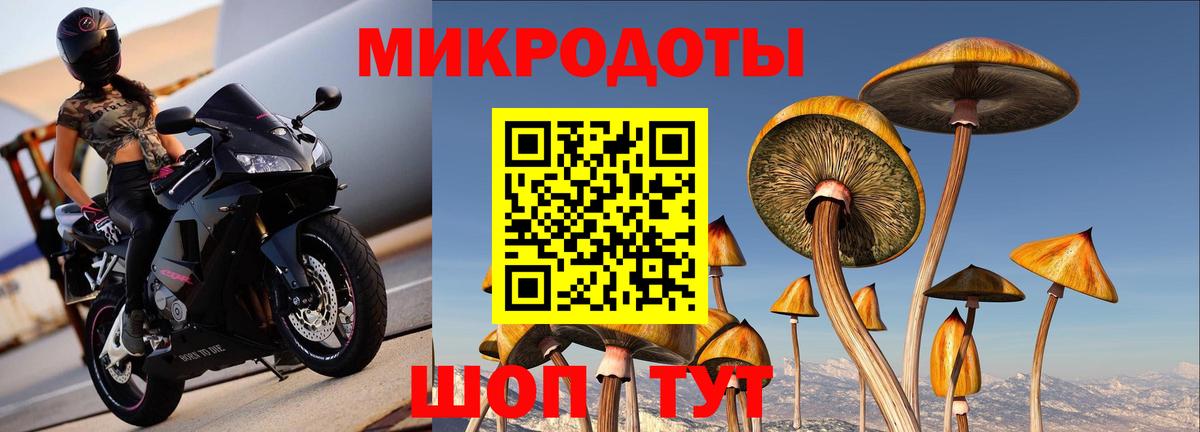 Галлюциногенные грибы GOLDEN TEACHER Мирный